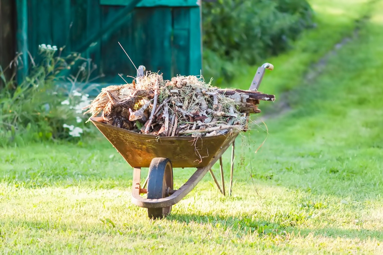 Metal wheelbarrow in the garden full of dry leaves and branches.