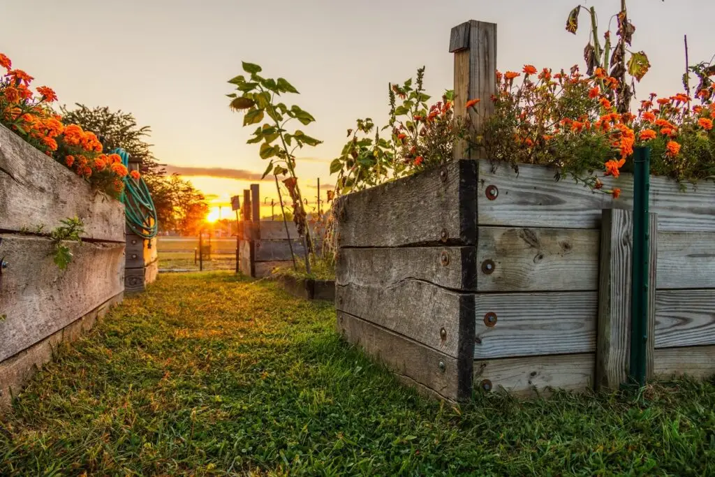 pest and rodent free garden beds