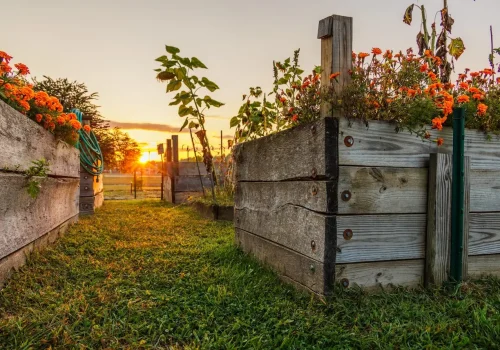 pest and rodent free garden beds