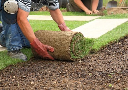 Man laying sod for new garden lawn