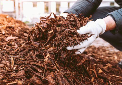lawn-garden-bed-mulch-1